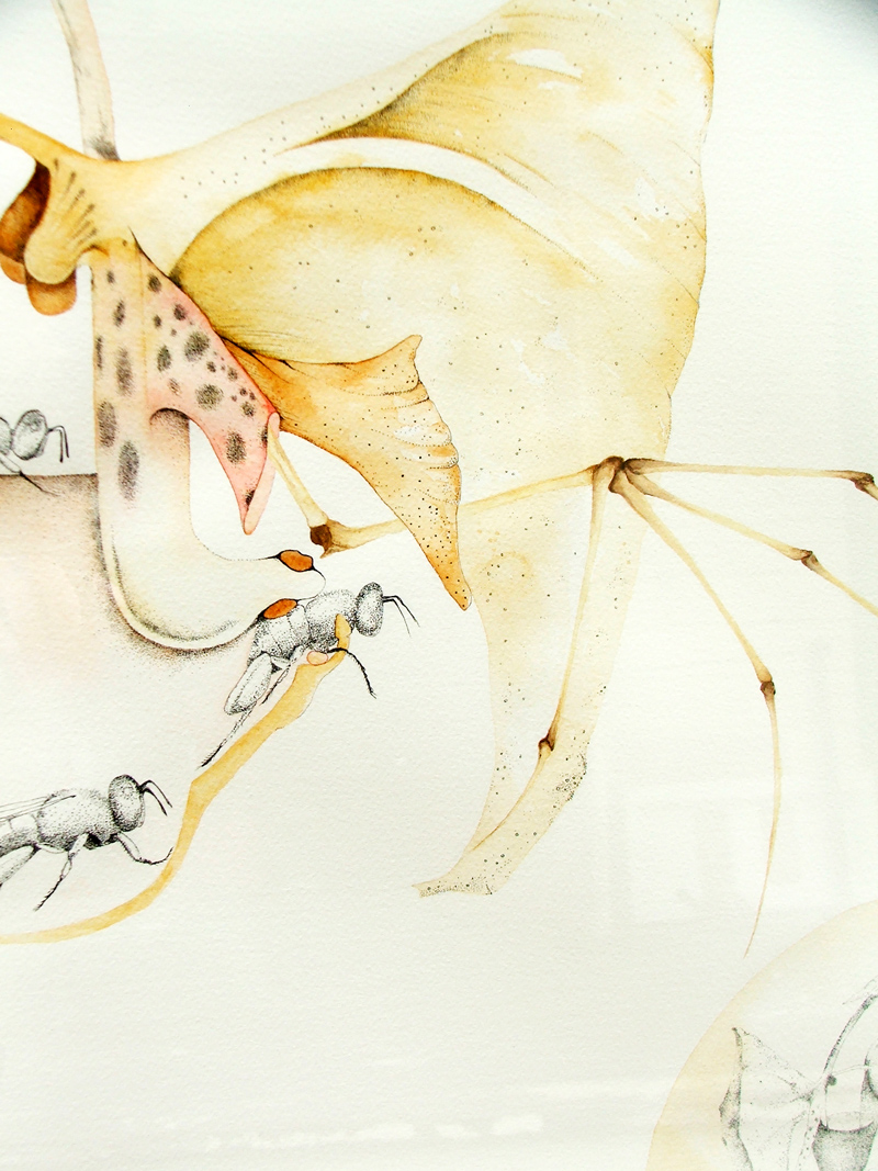 Detail, Untitled 021110 (2010) Ink & watercolour, 560 x 760mm, sold 