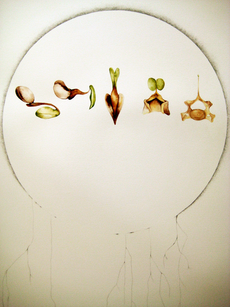  Untitled 291110 (2010) Ink & watercolour, 560 x 760mm, sold 