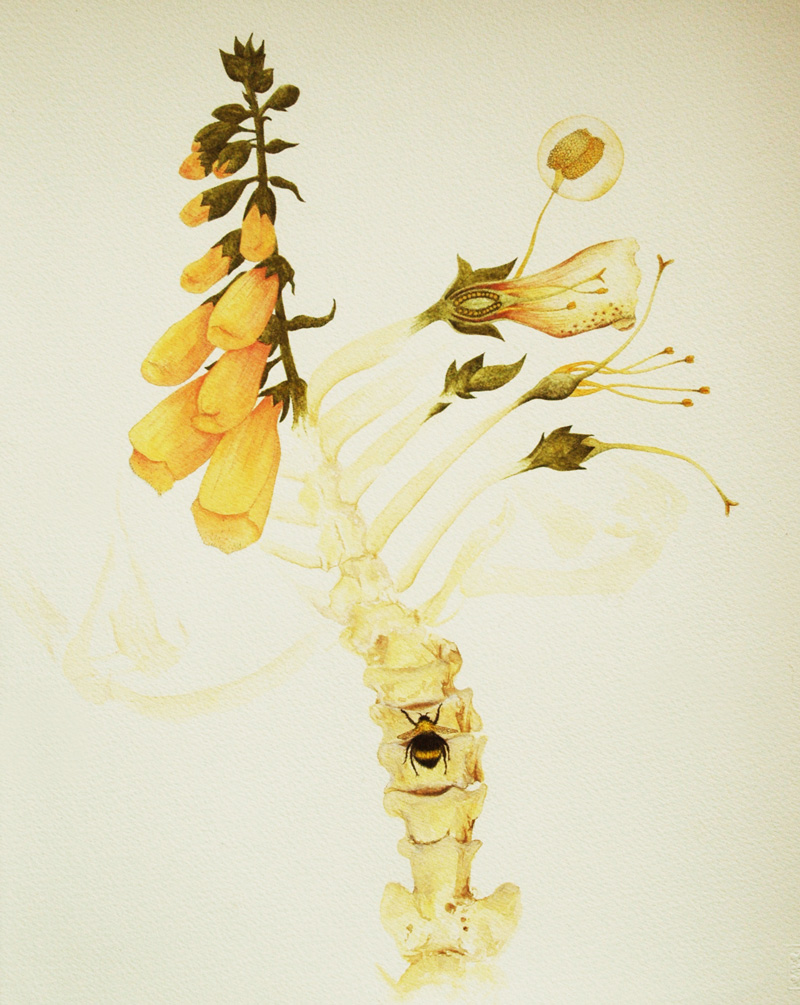 Untitled 301013 (2013). Ink & watercolour on paper, 380x280mm, $poa 