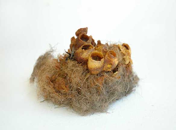 Sharnae Beardsley Art bumblebee-nest-Sharnae-Beardsley