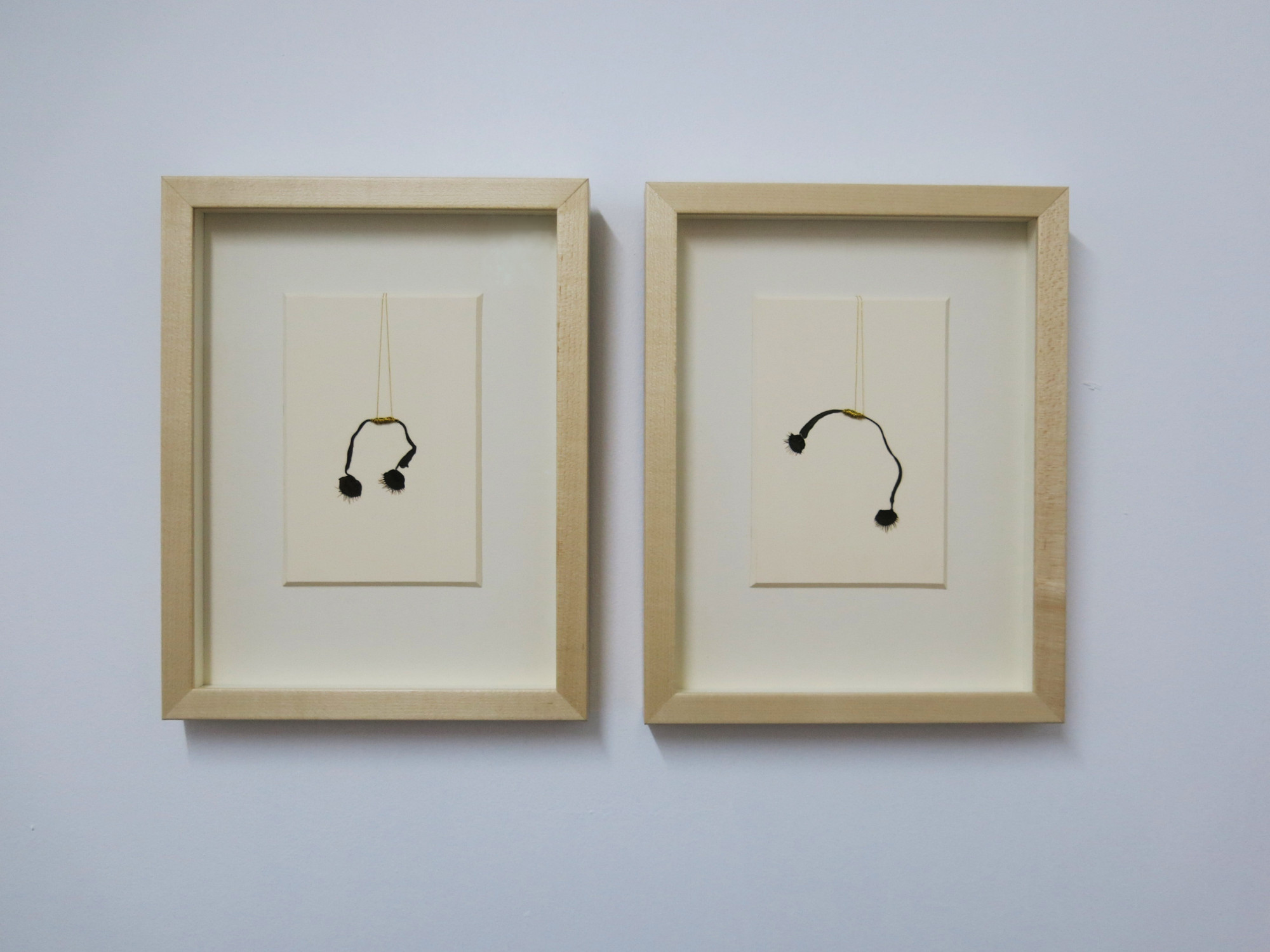 Dormancy I&II framed (2015)